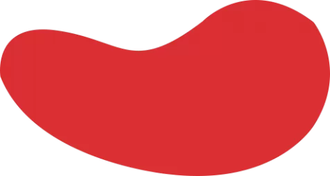 im电竞官网·(中国区)官方网站