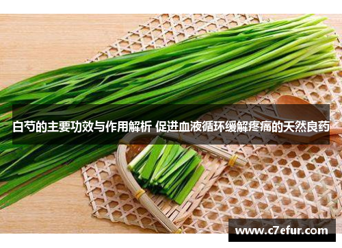 白芍的主要功效与作用解析 促进血液循环缓解疼痛的天然良药 白芍的主要功效与作用解析 促进血液循环缓解疼痛的天然良药